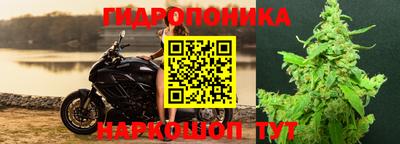 крисы Канаш