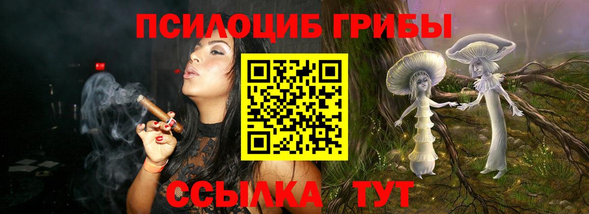 Курчатов  Галлюциногенные грибы Psilocybe  Вход с VPN  Псилоцибиновые грибы прущие грибы 