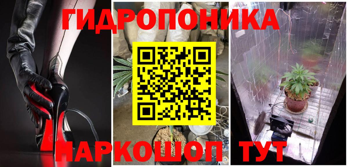 МАРИХУАНА семена  Канабис MAZAR  Курчатов  Канабис сатива  Вход с VPN 